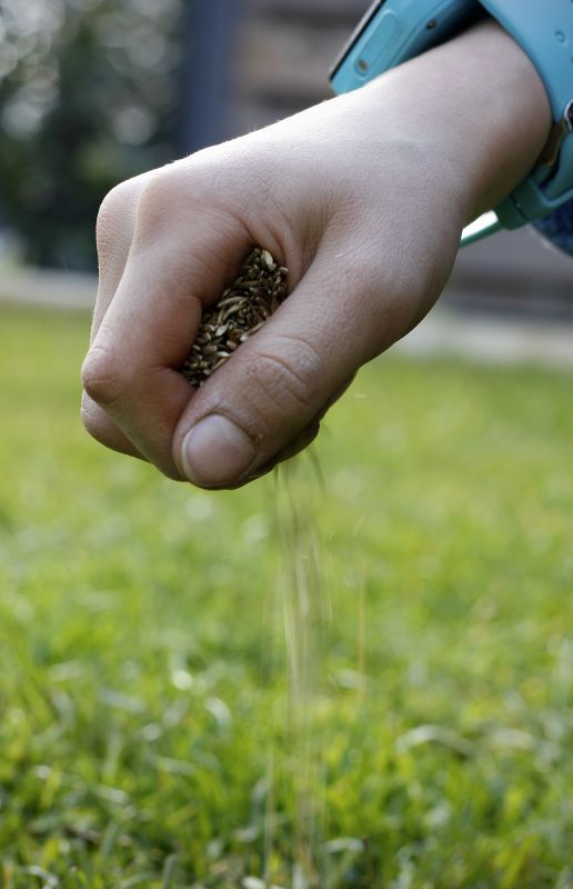 Fall Lawn Seeding in Ventura County, CA
