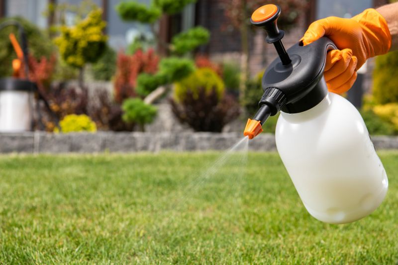 Grass Treatment in Ventura County, CA