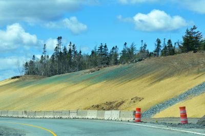 Hill Hydroseeding