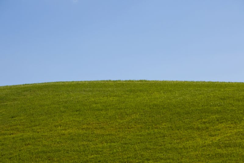 Landscape Enhancement