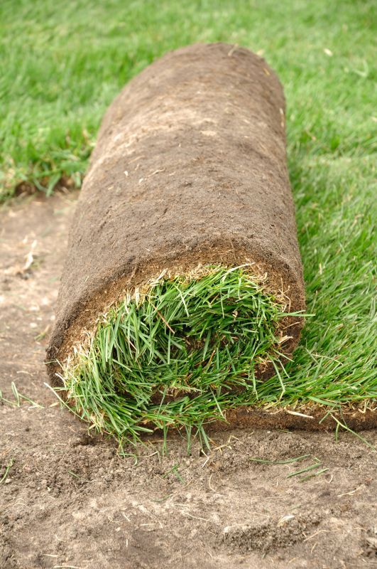 Lawn Sodding in Rockwall, TX