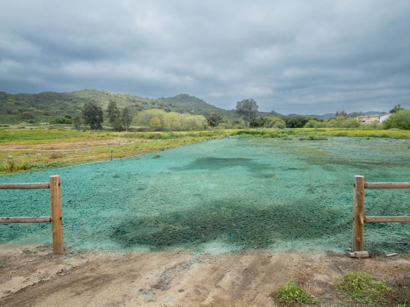 Yard Hydroseeding